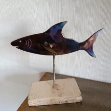 Requin Acier