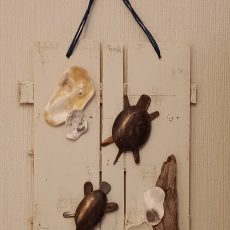 Tableau Tortues 20 cm/25 cm